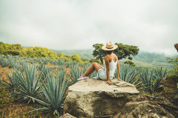 istock Woman travelling in Mexico 1044253762