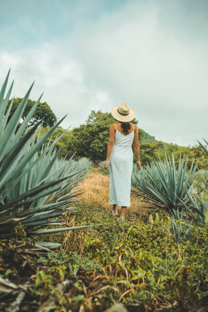 istock Woman travelling in Mexico 1044253898