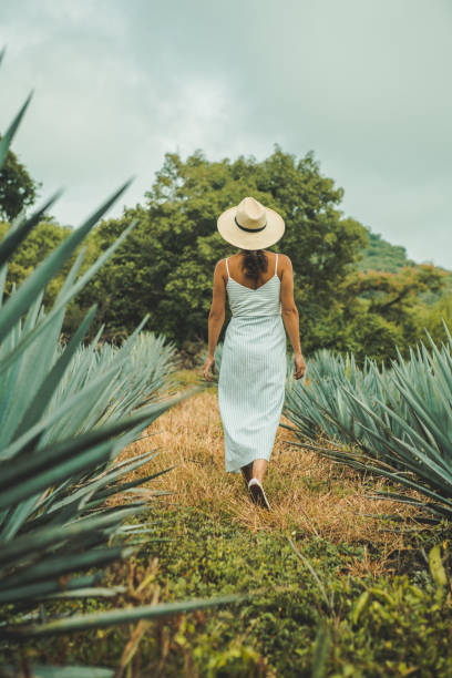 istock Woman travelling in Mexico 1044253966