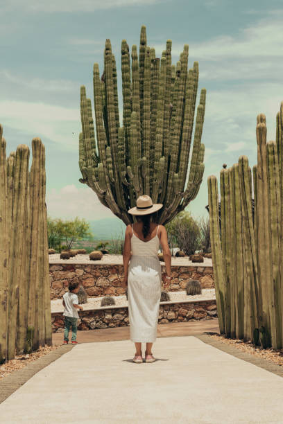 istock Woman travelling in Mexico 1044254416