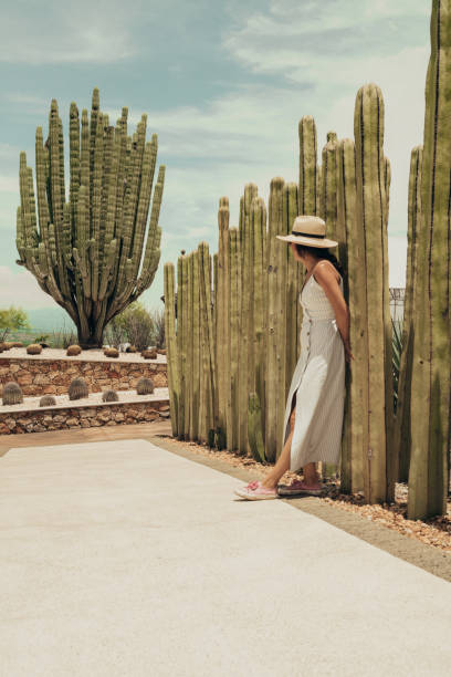 istock Woman travelling in Mexico 1044254428