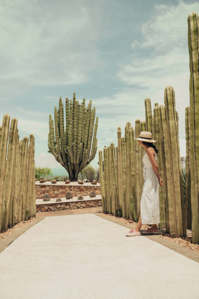istock Woman travelling in Mexico 1044254482