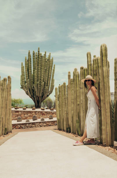 istock Woman travelling in Mexico 1044254494
