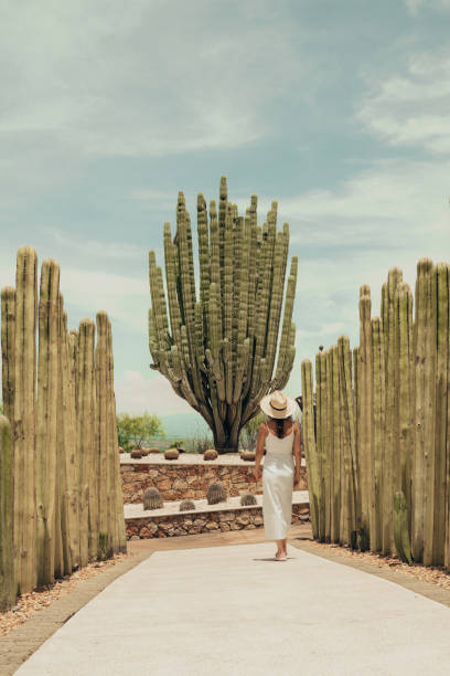 istock Woman travelling in Mexico 1044254514