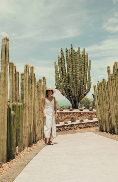 istock Woman travelling in Mexico 1044254540