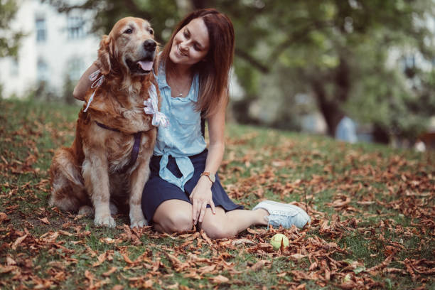 mujer con su perro en el parque otoño - golden retriever dog autumn leaf fotografías e imágenes de stock