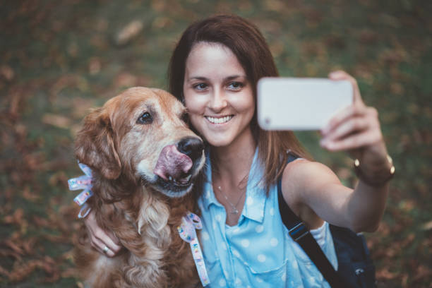 lächelnde frau des hundes geburtstag selfie übernehmen - golden retriever dog autumn leaf stock-fotos und bilder