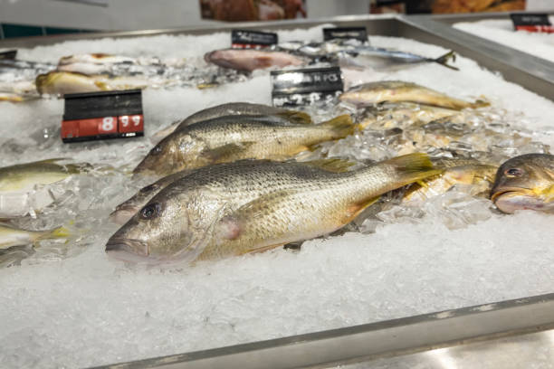 istock Fresh fish covered with ice cube display on table in supermarket 1044257546