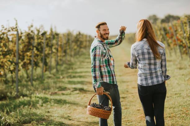 istock Young couple in the vineyard 1044259392