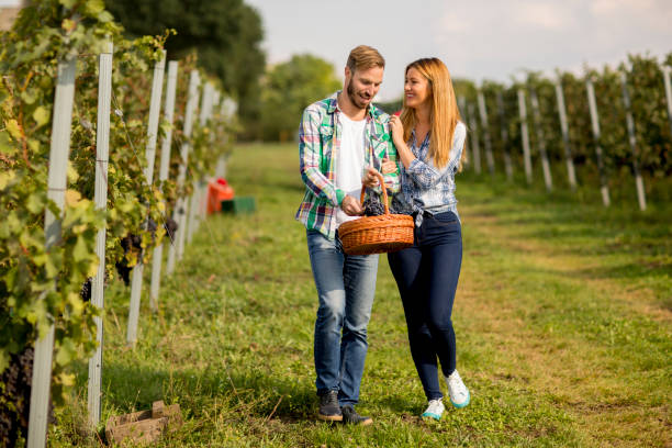 istock Young couple in the vineyard 1044259396
