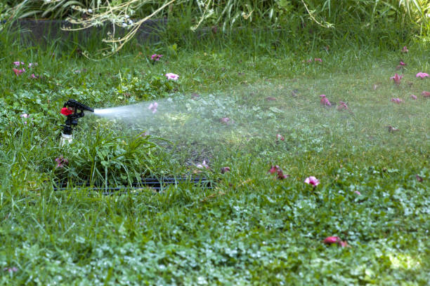 istock Water sprinkler in the garden 1044266076