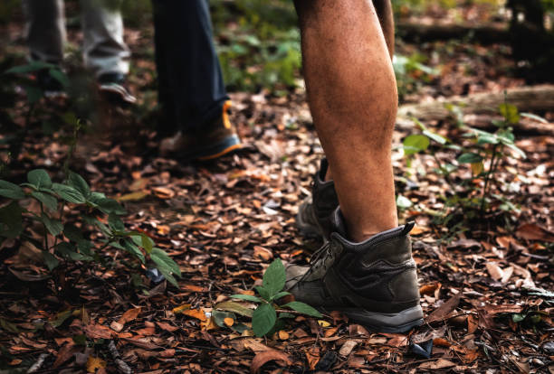 istock People trekking in the forest 1044272042