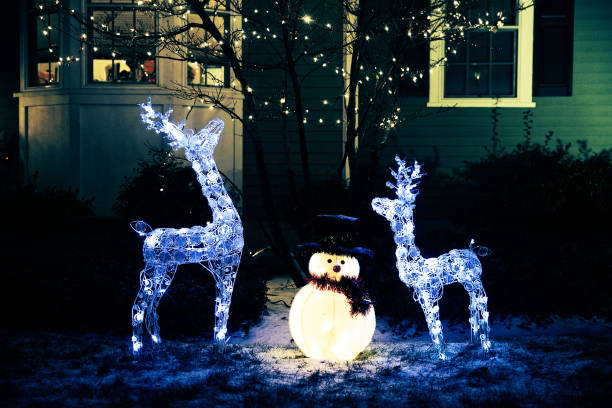 shiny Christmas decorations outside at night