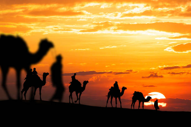 Horizon camels line