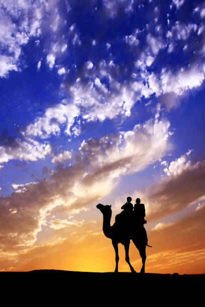 camminare con il cammello attraverso il deserto di thar in india, mostrare silhouette e cielo drammatico - india travel journey camel foto e immagini stock