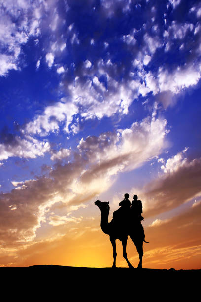 walking with camel through thar desert in india, show silhouette and dramatic sky - jaisalmer imagens e fotografias de stock