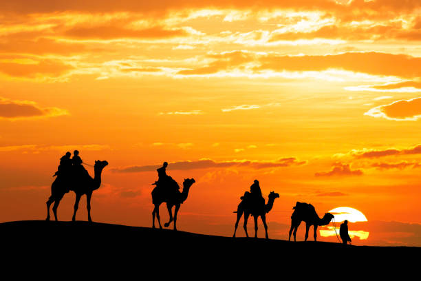 carovana camminare con il cammello attraverso il deserto di thar in india, mostrare silhouette e cielo drammatico - india travel journey camel foto e immagini stock