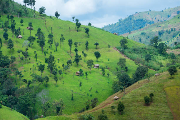 istock Green Terraced Rice Field in Nan, Thailand. 1044275936