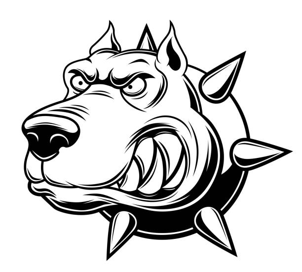 Angry dog Monochrome angry dog illustration pit bull power stock illustrations