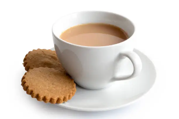 A cup of tea with milk and two gingerbread biscuits isolated on white. White ceramic cup and saucer.