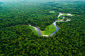 Atlantic Forest in Brazil, Mata Atlantica