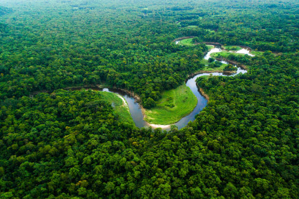 Atlantic Forest in Brazil, Mata Atlantica Wonderful aerial shots amazon rainforest stock pictures, royalty-free photos & images