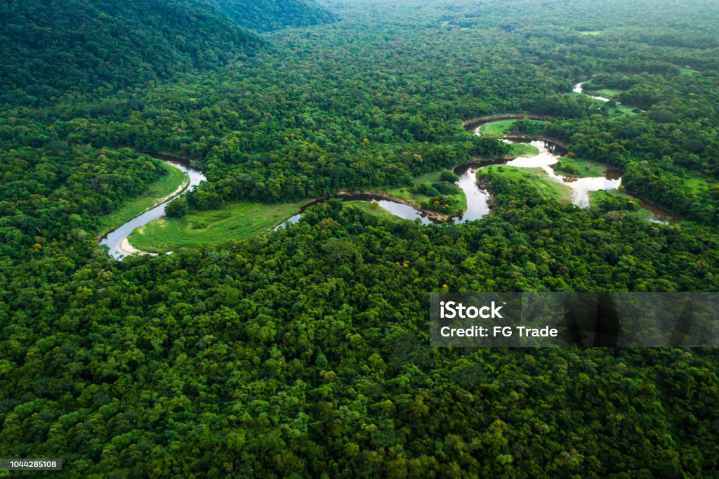 Atlantic Forest in Brazil, Mata Atlantica Wonderful aerial shots Amazon Region Stock Photo