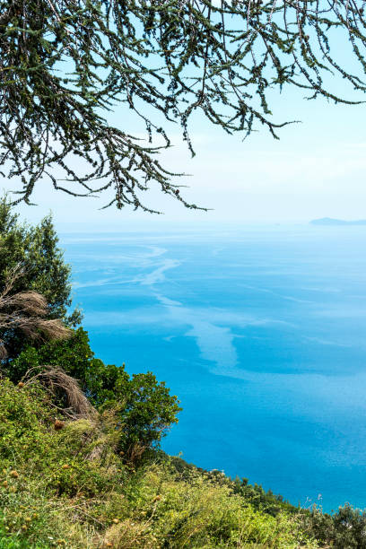 istock Top view nature in Stratoni, Ouranoupolis, Greece 1044287368