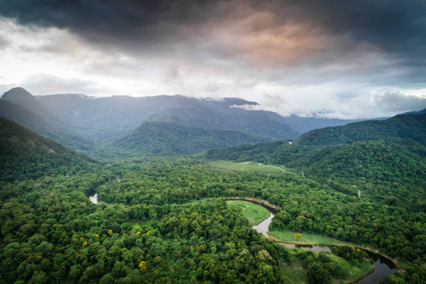 istock Dramatic Shot of Tropical Rainforest 1044287664