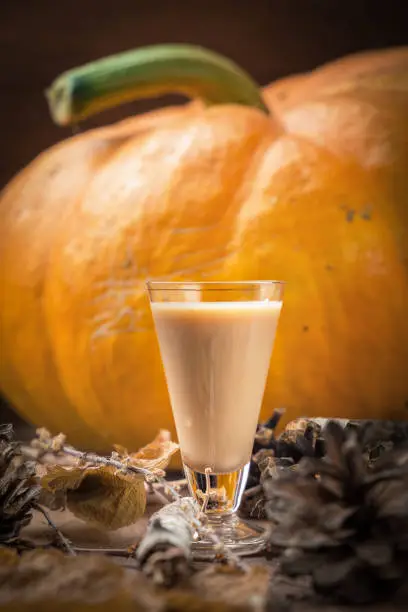 Homemade milk liqueur in glass from pumpkin, autumn drink