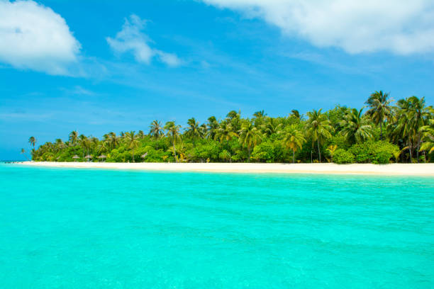 istock Beautiful sandy beach in uninhabited island 1044291622