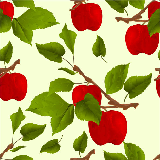 빨간 사과 나뭇잎이을 배경 수채화 vitage 벡터 일러스트 편집 가능한 완벽 한 텍스처 분기 사과 나무 - apple tree branch stock illustrations