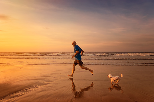 Owner and maltese dog are running at the beach in sunset time