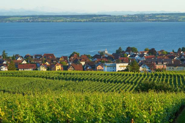 hagnau nad jeziorem bodeńskim, badenia-wirtembergia, niemcy - hagnau zdjęcia i obrazy z banku zdjęć