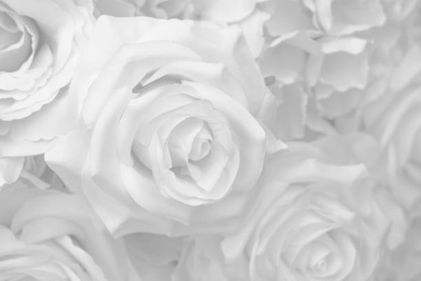 istock Beautiful decoration artificial rose flower in white tone background. 1044298114
