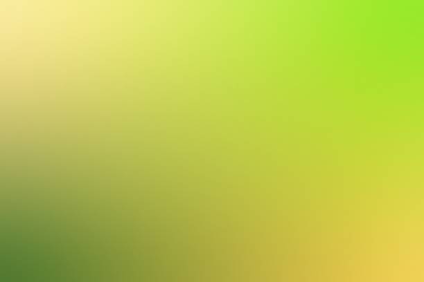 istock Abstract blurred background. soft yellow and green backdrop 1044303744