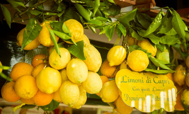 Lemons with text "lemons from Capri island. From these lemons we prepare our frozen dessert" written on a sign stock photo