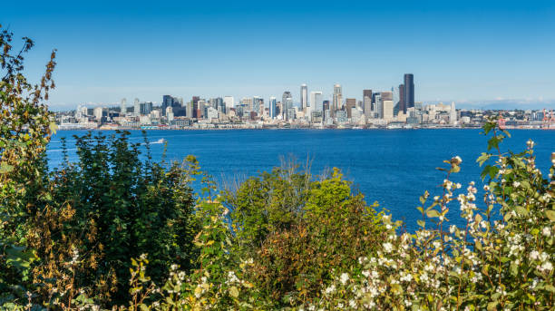 istock Seattle Urban Landscape 1044323374