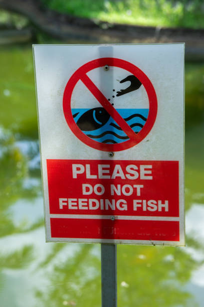 istock label please do not feeding fish in the park 1044331162