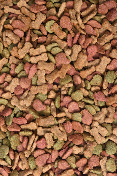 istock food for animals 1044331610