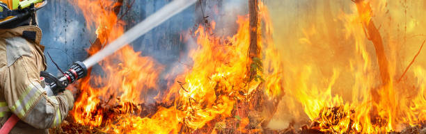 os bombeiros aspergir água para um incêndio - wilderness area usa tree day - fotografias e filmes do acervo