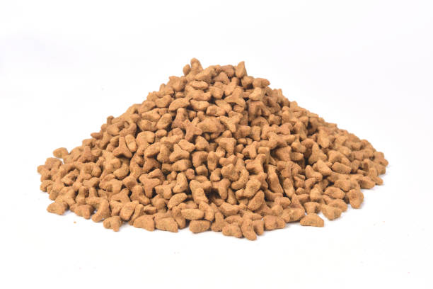 istock food for animals 1044334678