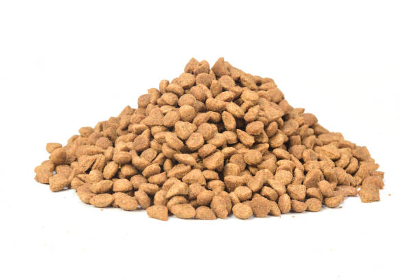 istock food for animals 1044334690