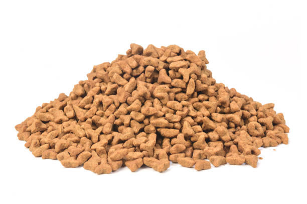 istock food for animals 1044334754