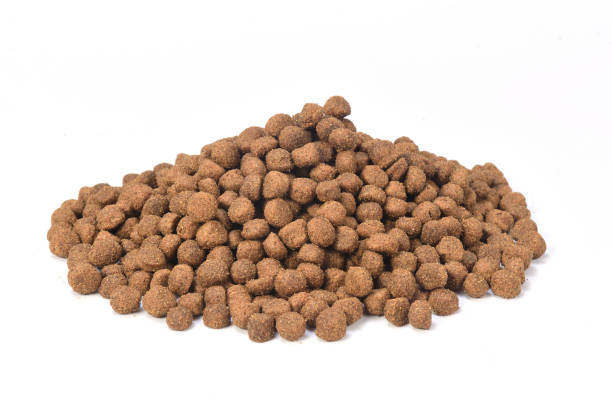 istock food for animals 1044334862