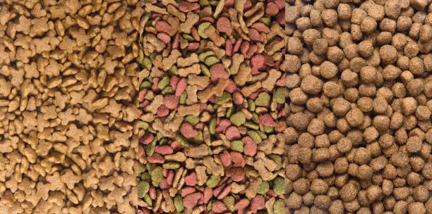 istock food for animals 1044335110