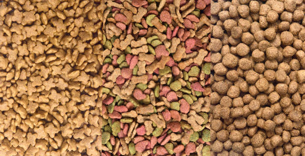 istock food for animals 1044335302