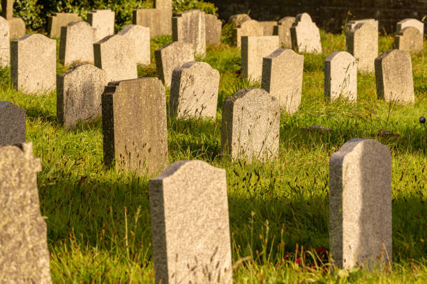 istock Blank gravestones in late afternoon sunlight 1044336134
