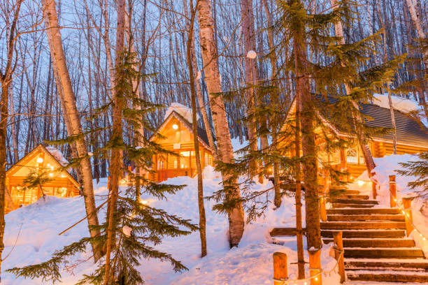 Furano, Japan Winter Cabins Furano, Hokkaido, Japan winter cabins at twilight. furano basin stock pictures, royalty-free photos & images