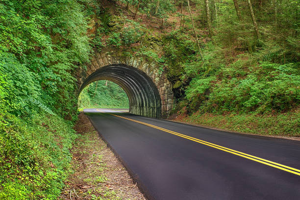 istock New Blacktop Road Through Smoky Mountains 1044353606